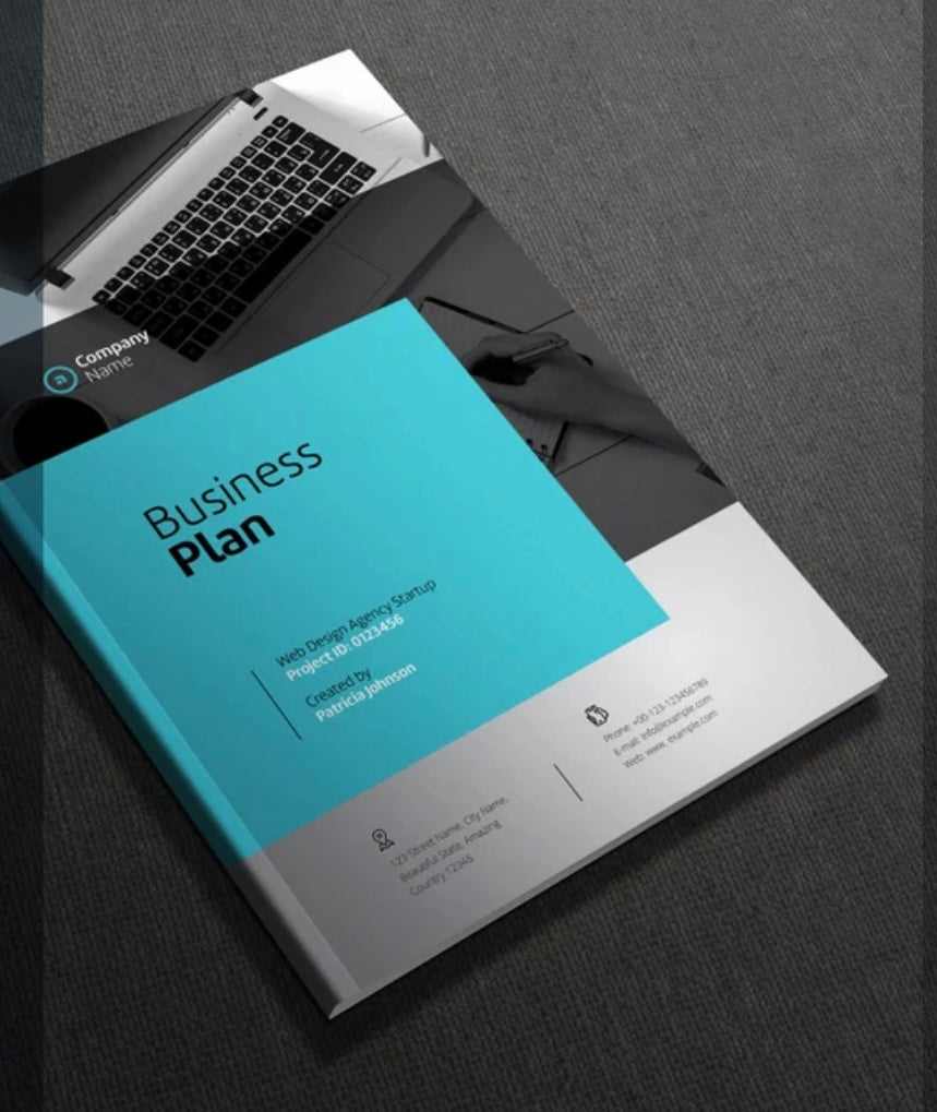Business Plan Development-Standard