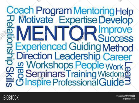 1 -1 Mentorship Program