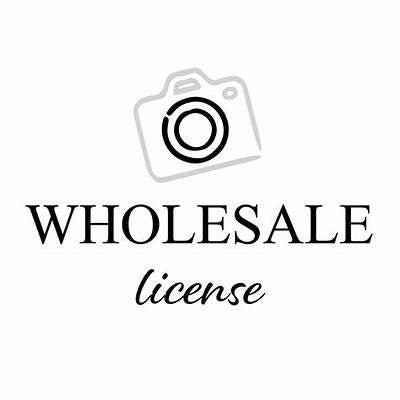 Wholesale License