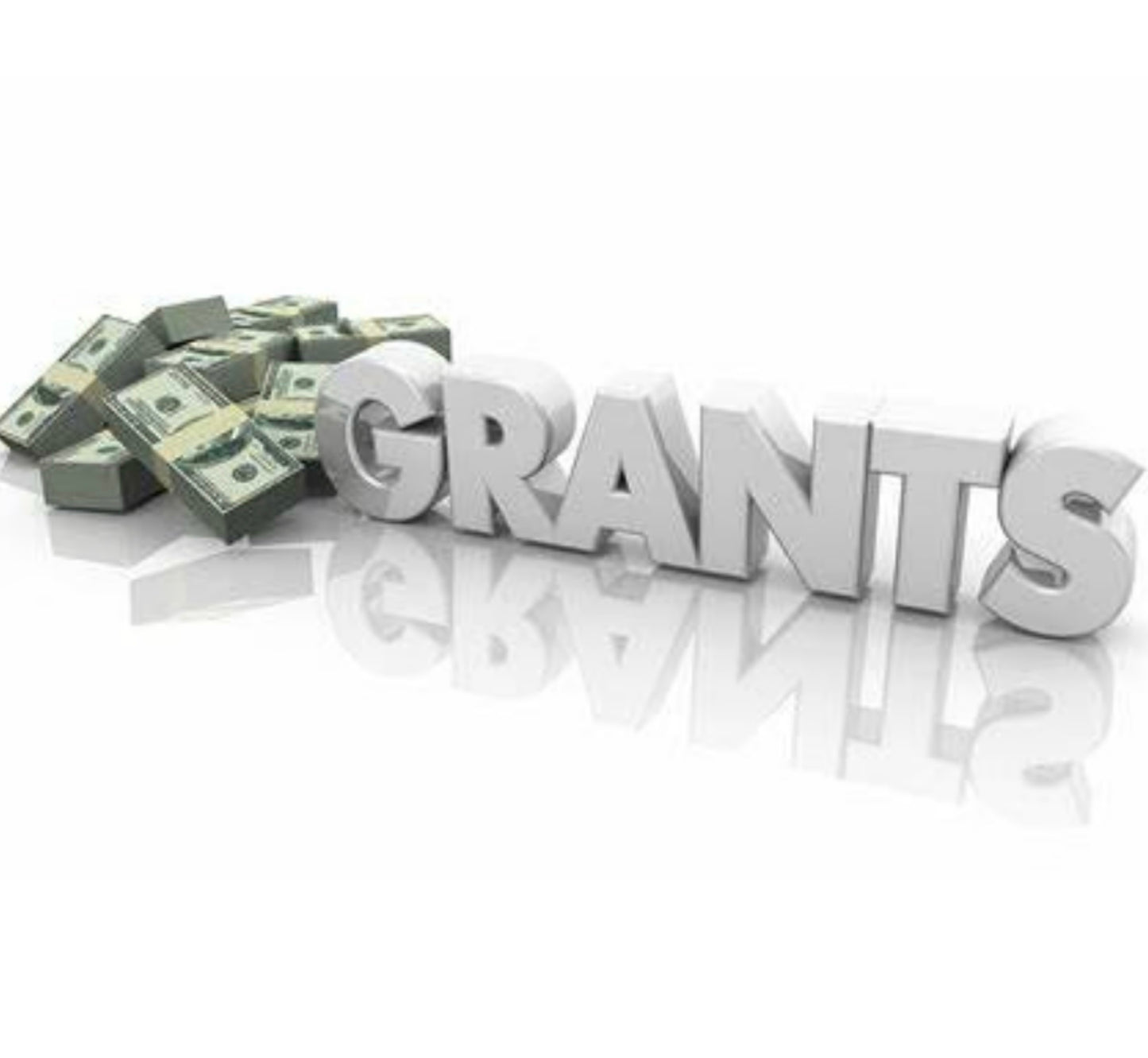 Government Grants